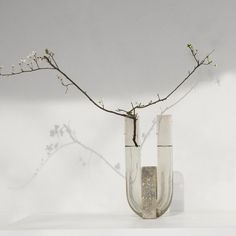 two vases with flowers in them on a table next to a branch and wall