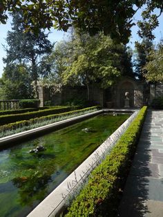 an outdoor garden with water and plants in the center, surrounded by stone walkways