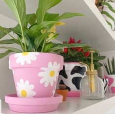 a pink flower pot sitting on top of a white shelf next to other pots and plants