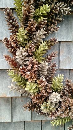 some pine cones are hanging on the side of a building with green and brown leaves