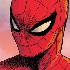 the face of spider - man in front of a pink sky with clouds behind it