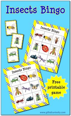 insect matching game for kids to practice insects