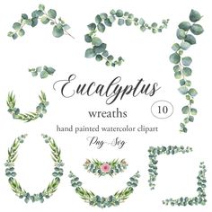 watercolor eucalyptus leaves and wreaths clipart