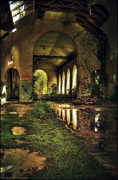 an abandoned building with grass and water in the foreground is seen from across the room