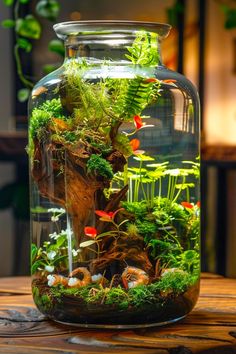 an aquarium filled with plants and rocks on top of a wooden table in front of a window