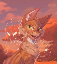 an orange and white cat with green eyes standing in front of a cloudy sky at sunset