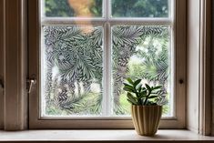 a potted plant sitting on top of a window sill next to a window