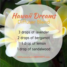 Summer Essential Oils, Essential Oil Diffuser Blends Recipes, Essential Oils Health, Essential Oil Diffuser Recipes, Yl Essential Oils, Oil Diffuser Recipes, Essential Oil Blends Recipes, Essential Oil Mixes, Diffuser Blend