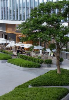 an outdoor seating area with tables and umbrellas in front of a large glass building