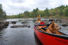 a man and his dog are in a canoe on the water with rocks near by