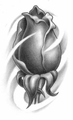 a black and white drawing of a rose