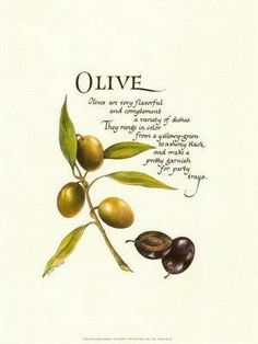 olives on a branch with leaves and the words olive written in latin script above them