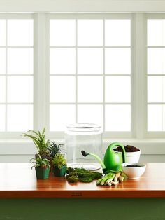 a wooden table topped with plants and pots filled with dirt on top of it next to windows