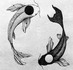 two black and white koi fish swimming next to each other