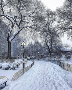 a snow covered street with benches and lampposts