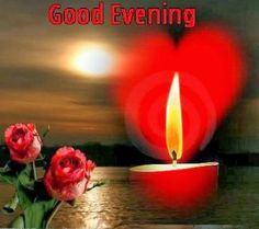 a red candle with two roses in front of it and the words good evening written below