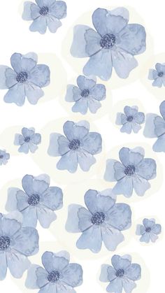 blue flowers are arranged on a white background