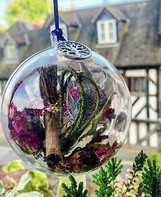 a glass ornament hanging from a tree filled with flowers and plants in front of a house