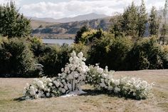 white flowers are arranged on the ground in front of some trees and water with mountains in the background