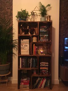 a bookshelf filled with lots of books next to a plant on top of a wooden floor