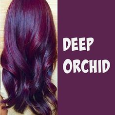 Burgundy And Plum Hair, Burgundy Violet Hair, Purple And Burgundy Hair, Burgundy Hair Plum Purple, Plum Red Hair Color, Wild Orchid Hair Color, Deep Wine Hair Color, Deep Plum Hair Color