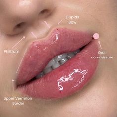 the anatomy of a woman's lips with labels on her cheek and upper lip area