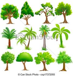 various trees and shrubs on a white background