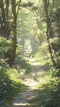 some deer are walking down a path in the woods