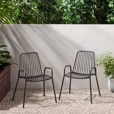 two black chairs sitting next to each other in front of a white wall and plants