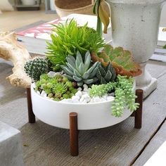 a white planter filled with lots of succulents on top of a wooden table