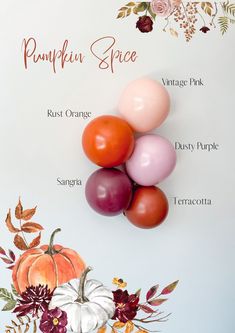 pumpkins, tomatoes and other vegetables are arranged on a white background with the words pumpkin spice