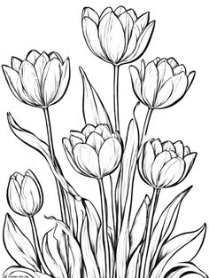 a bunch of flowers that are drawn in black and white