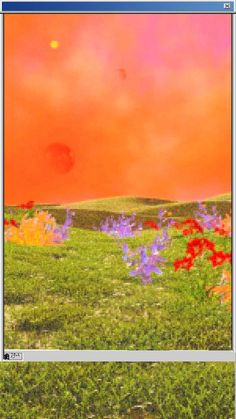 an image of a field with flowers in the foreground and clouds in the background