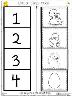 the printable worksheet for numbers 1, 2, and 3 with pictures of ducks