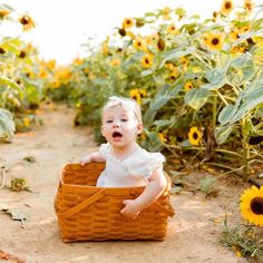 Get inspired with creative sunflower photoshoot ideas for Instagram-worthy images that capture the essence of summer. Photoshoot Ideas Kids, Sunflower Portrait, Milestone Pictures