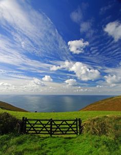 a wooden fence sitting in the middle of a lush green field next to an ocean