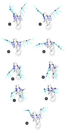 the diagram shows how to draw an object with different lines and shapes, including dots