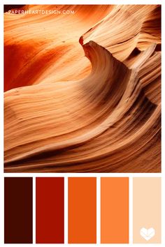 an orange and brown color scheme for the desert