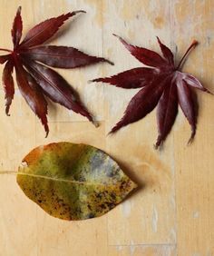 three different types of leaves on a wooden surface with paint chipping off the edges