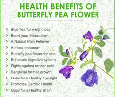 the health benefits of butterfly pea flower are shown in this poster, which includes information on how to use it