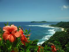 an orange flower is in the foreground and some blue water on the far side