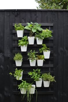 a vertical herb garden is mounted on the side of a black fence with white potted plants