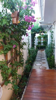 the walkway is lined with plants and flowers