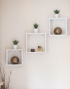 three white shelves with plants and vases on them