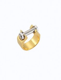 a gold and silver ring with an arrow on the middle, in front of a white background