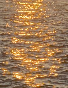 the sun shines brightly on the water as it reflects in the water's surface