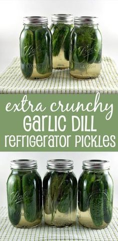 four mason jars filled with green herbs and labeled garlic dill refrigerator pickles