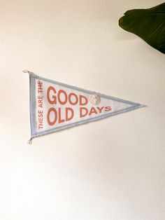 an old pennant hanging on the wall next to a potted plant with a green leaf