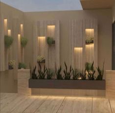 an indoor planter with succulents and lights on the wall behind it