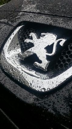 an emblem on the hood of a car that is covered in raindrops and water